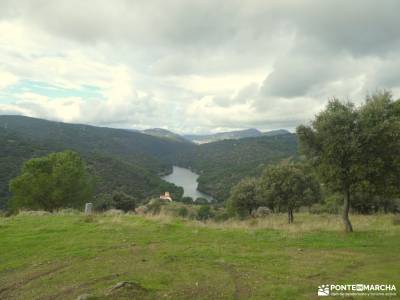 Ruta del Turrón y Polvorón - Los Pinares del Rey: naturaleza y biodiversidad; irati bosque viaje exo